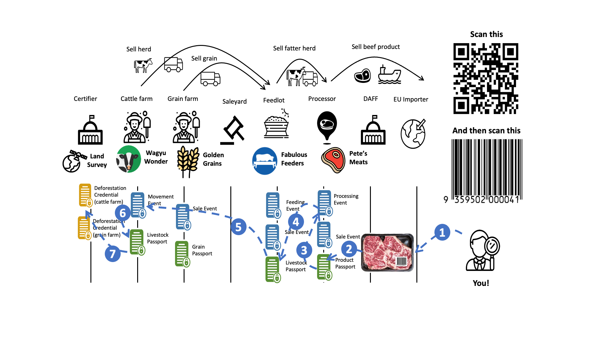 Value Chain